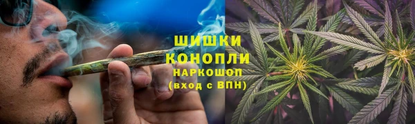 хмурый Белокуриха