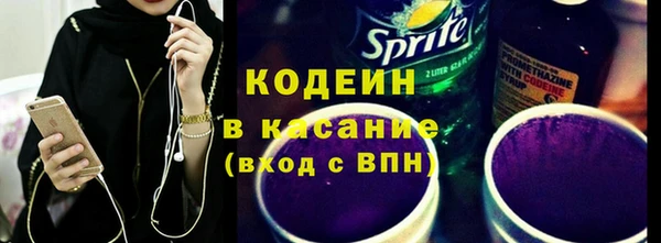 хмурый Белокуриха