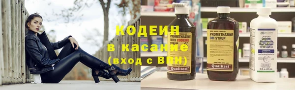 хмурый Белокуриха