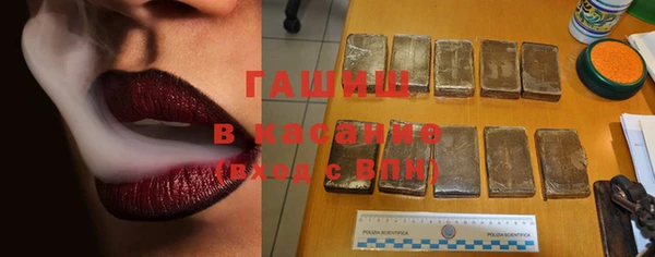 хмурый Белокуриха