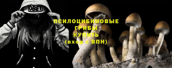 хмурый Белокуриха