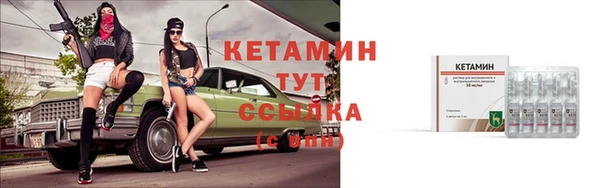 хмурый Белокуриха