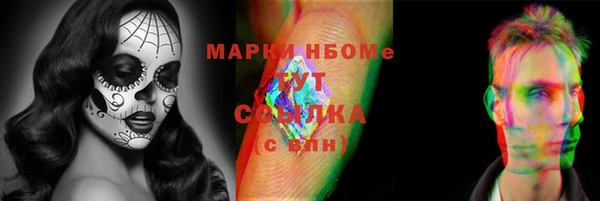 хмурый Белокуриха