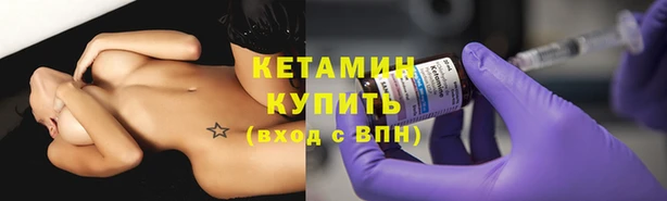 хмурый Белокуриха