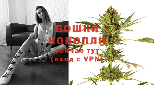 прущие крисы Белоозёрский