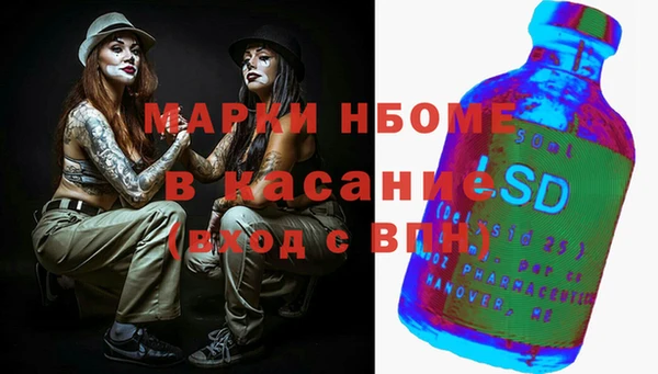 хмурый Белокуриха