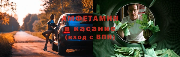 хмурый Белокуриха