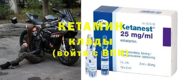 хмурый Белокуриха